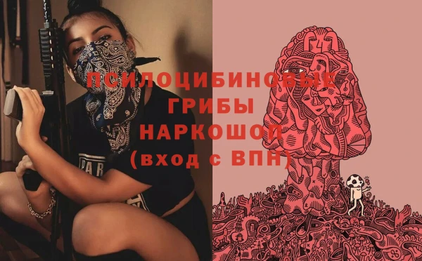 MDMA Белокуриха