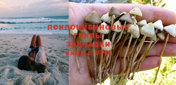 MDMA Белокуриха